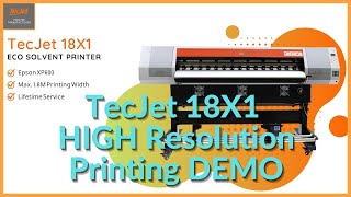 TECJET S series XP600 DX5 DX7 Eco Solvent amp Sublimation amp UV Printers [upl. by Reichel262]