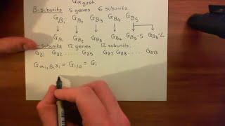 Adenylyl Cyclase Part 4 [upl. by Joycelin]