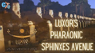 Luxor’s Sphinxes Avenue quotThe Rams Road quot  طريق الكباش  CYC [upl. by Pauline702]