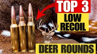 Top 3 Light Recoiling Cartridges for Deer Including My Hunting Footage With All 3 [upl. by Elleiram]