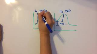 Activation Energy and Catalysts [upl. by Marchall]