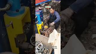 Electric Motor Copper Removal Machine  High Efficiency Motor Recycling [upl. by Nnuahs]