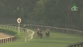 VINAMRAO with Hindu Singh up wins The Contralto Handicap 2024 [upl. by Hoes]