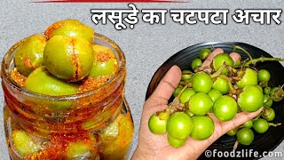 लसूड़े का चटपटा अचार जो सालों खराब न हो  Lasode ka Achar  Gunde Pickle [upl. by Layap]