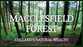 Macclesfield Forest amazing 5 hours adventurous walk in 20 minutes [upl. by Ahsikcin]