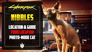 How To Find Nibbles in Cyberpunk 2077  Cat Food AND Secret Shard Location [upl. by Beora]