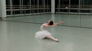 The Dying Swan – Andrea Licaj Bodies Never Lie dance company [upl. by Giardap]