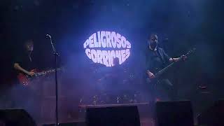 Peligrosos Gorriones full set 14122023 en The Roxy [upl. by Attah]