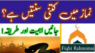 Namaz mein kitni sunnatein hain  Fiqhi Rahnumai [upl. by Elaina]