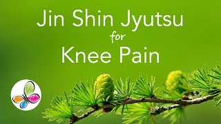 Jin Shin Jyutsu for Knee Pain [upl. by Amaso]