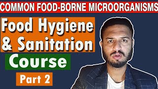 FoodBorne Microorganisms Viruses Bacteria Fungi Parasites  Food Hygiene amp Sanitation Pt 2 [upl. by Falconer]