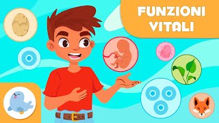 Le FUNZIONI VITALI degli ESSERI VIVENTI  Relazione nutrizione e riproduzione  Scienza per bambini [upl. by Acinorehs970]