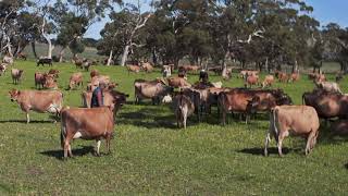 Fleurieu Milk Company TV Commercial 2020 [upl. by Elizabet]