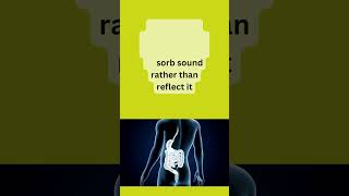 The Science of Sound Reflection  Echoes and Reverberation  Mastering Audio Reflections [upl. by Chance]