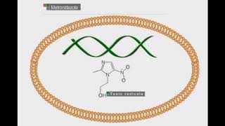 Metronidazole animation video [upl. by Nedloh368]