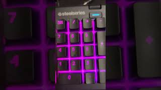 SteelSeries Apex 3 RGB Gaming Keyboard Review [upl. by Baugh940]