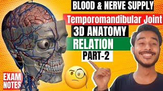 Anatomy of temporomandibular joint relations  Relations of temporomandibular joint anatomy [upl. by Damalus642]