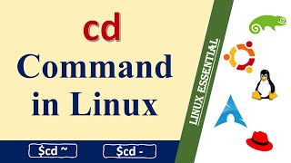 Learn How the cd Command Changes Your Directory in Linux [upl. by Nyrad355]