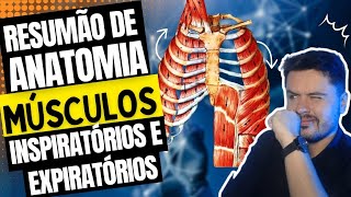 Anatomia dos Músculos Inspiratórios e Expiratórios [upl. by Cranston123]