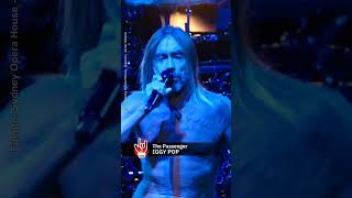 IGGY POP 🎸 The Passenger 💼 Live at Sydney Opera House 🇦🇺 [upl. by Tterrag231]