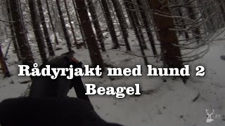 Rådyrjakt med hund 2 [upl. by Sugden508]