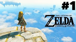 THE LEGEND OF ZELDA TEARS OF THE KINGDOM Gameplay Walkthrough Part 1 [upl. by Pearlman207]