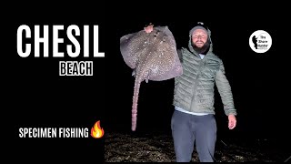 UK Beach Fishing Chesil Beach Catching Big Fish Wayne Hand 4K [upl. by Hermia]