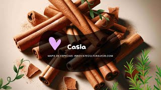 Cinnamomum cassia [upl. by Latsirc]