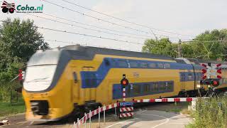 Spoorwegovergang sHertogenbosch 😍4K😍  Dutch railroad crossing [upl. by Anelad]