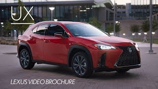 The 2019 Lexus UX Walk Around Video [upl. by Nysila]