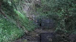 Views from an old railway route part 3 Earby to Skipton [upl. by Leeda]