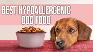 5 Best Hypoallergenic Dog Food for Allergies [upl. by Eimac]