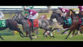 2023 Foxfield Fall Races Highlights [upl. by Nairdad114]