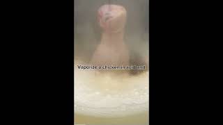 Vaporizing a chicken in acid 🤯 [upl. by Turley]