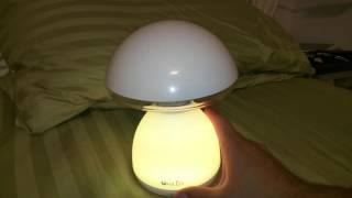 OxyLED 7 color LED mushroom night light review [upl. by Ettegdirb20]