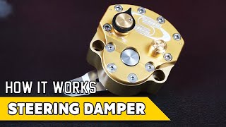 How a Steering Damper Works  Offroad Engineered [upl. by Doroteya]