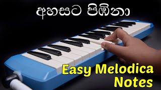 Ahasata Pimbina Easy Melodica Notes  Melodica Sinhala  Melodica Songs  Music Sir [upl. by Sivam421]