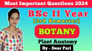 BSc II Year 3rd Semester Botany Paper  2 Important Questions 2024  Plant Anatomy DearPari [upl. by Amatruda]