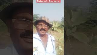 Diabetes ki Desi davai [upl. by Asaert]