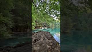 Blausee travel switzerland [upl. by Santana]