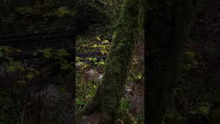 Upper Falls of Latourell Falls  Columbia River Oregon [upl. by Tuinenga]