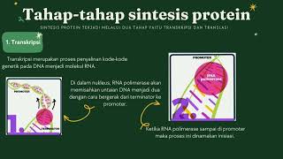 Sintesis Protein  Biologi [upl. by Inneg807]