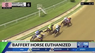 Baffert horse euthanized following injury during undercard Preakness race [upl. by Henderson]