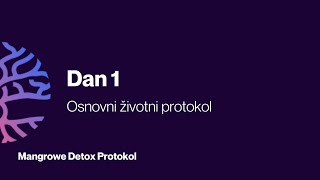 Detox protokol  Dan 1 [upl. by Hammer]