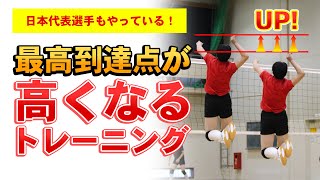 【バレーボール】スパイク・ブロックの最高到達点が高くなるジャンプ力をアップさせるトレーニングのコツ【五十嵐悠哉】【日本代表】 [upl. by Beitz830]