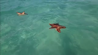 Hotel Memories Flamenco Beach Resort Cayo Coco Cuba [upl. by Noevad]