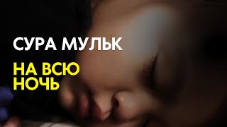 СУРА МУЛЬК НА ВСЮ НОЧЬ СЛУШАЙТЕ КАЖДЫЙ ДЕНЬ [upl. by Herb]