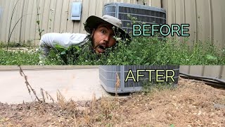 Best non toxic weed killer [upl. by Michaeu]