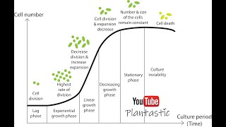 Plant Tissue Culture  Suspension Culture [upl. by Brenan]