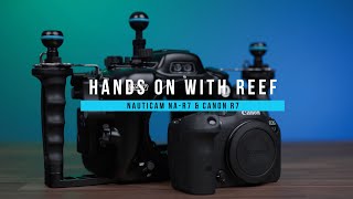 Hands on with Reef Canon R7 amp Nauticam NAR7 [upl. by Perdita]